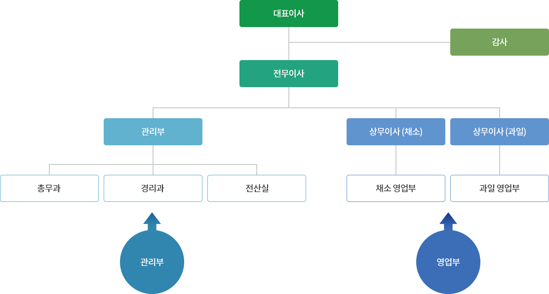 조직도